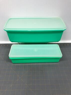 Vtg Easy Crisp Veggie Jr Container w/lid & Celery Veggie Keeper w/ Tray and Lid